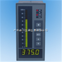 XST單輸入(rù)通道儀表XST單輸(shū)入通道儀表